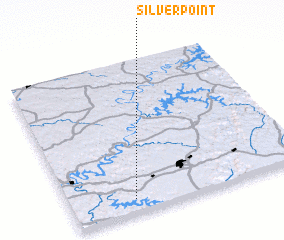 3d view of Silver Point