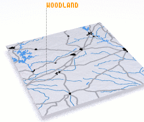 3d view of Woodland