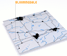 3d view of Bloomingdale