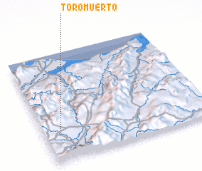 3d view of Toro Muerto