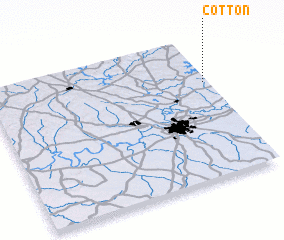 3d view of Cotton
