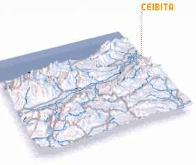 3d view of Ceibita