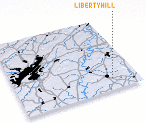 3d view of Liberty Hill