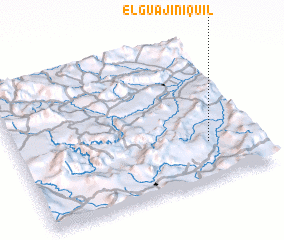 3d view of El Guajiniquil