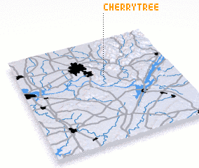 3d view of Cherrytree