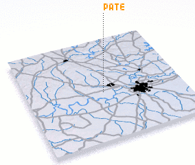 3d view of Pate