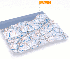 3d view of Musume