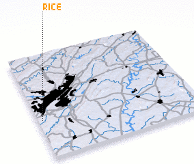 3d view of Rice