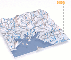 3d view of Omoa