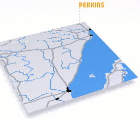 3d view of Perkins