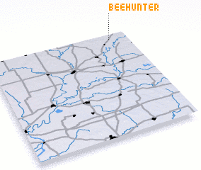 3d view of Beehunter