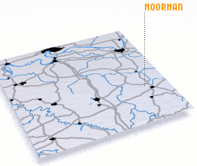 3d view of Moorman