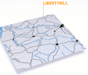 3d view of Liberty Hill