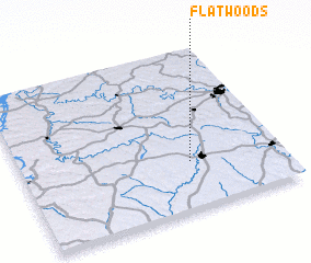 3d view of Flatwoods