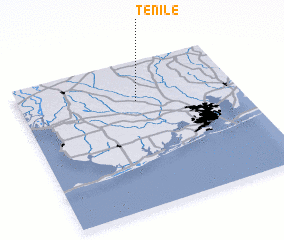 3d view of Tenile