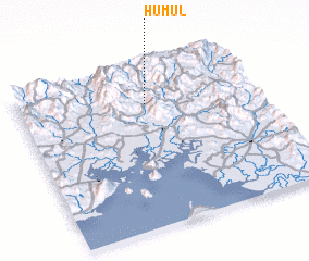 3d view of Humul