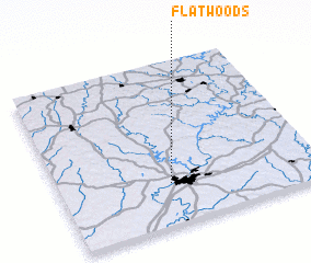 3d view of Flatwoods