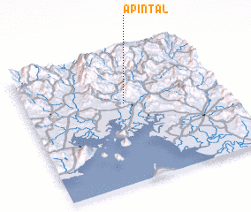 3d view of Apintal