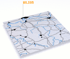 3d view of Wilson