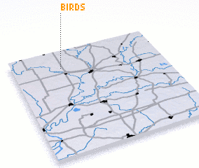 3d view of Birds