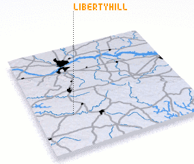 3d view of Liberty Hill