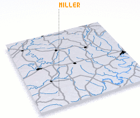 3d view of Miller