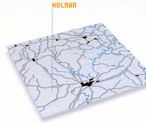 3d view of Holman