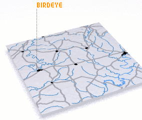 3d view of Birdeye