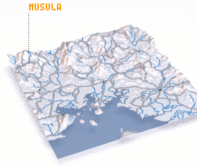 3d view of Musula