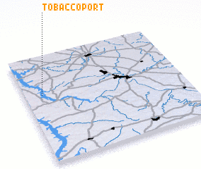 3d view of Tobaccoport