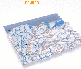 3d view of Bejuco