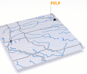 3d view of Pulp