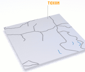 3d view of Tekom