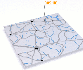 3d view of Doskie