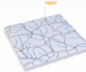 3d view of Toxey