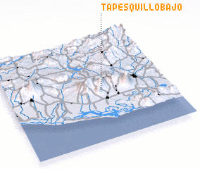 3d view of Tapesquillo Bajo