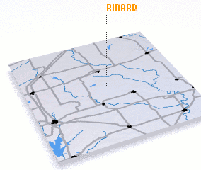 3d view of Rinard