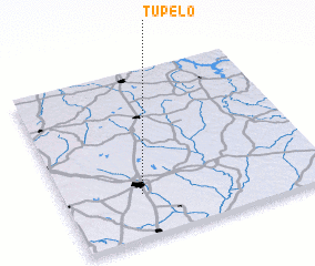 3d view of Tupelo