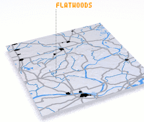 3d view of Flatwoods