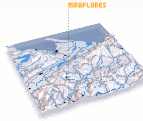 3d view of Miraflores