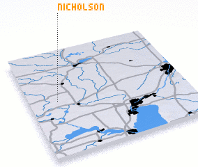 3d view of Nicholson