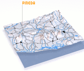 3d view of Pineda