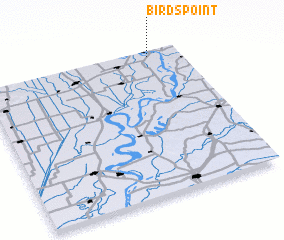 3d view of Birds Point