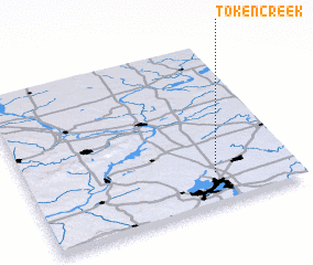 3d view of Token Creek