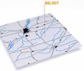 3d view of Walnut