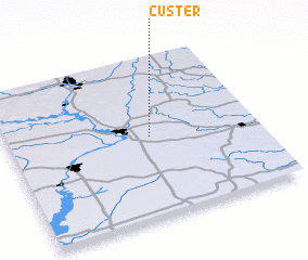 3d view of Custer