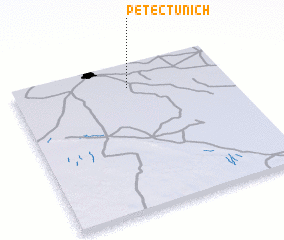 3d view of Petectunich