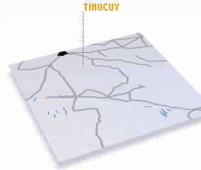 3d view of Timucuy