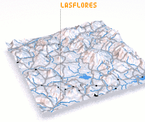 3d view of Las Flores