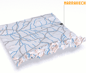 3d view of Marrakech